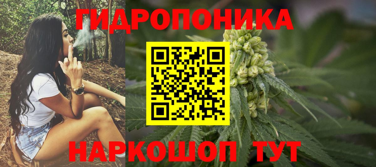 Шишки марихуана THC 21%  Шишки марихуана LSD WEED  Волоколамск  Шишки марихуана тримм  Бошки марихуана White Widow  Вход с VPN 